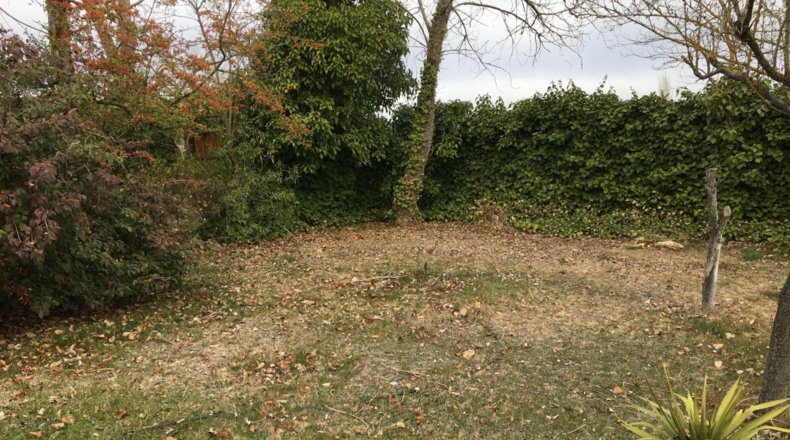 Salamanca - Buenavista - 2000m2