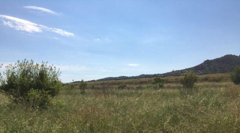Castellón - Castelló de la Plana - 10000m2