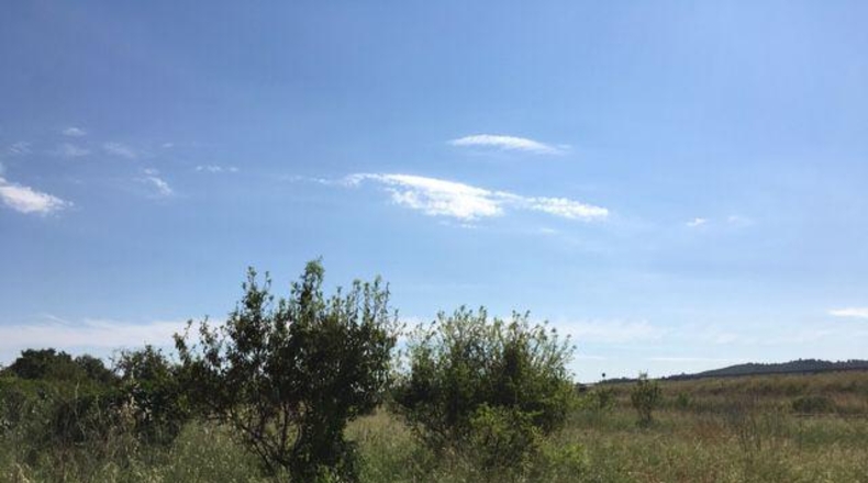 Castellón - Castelló de la Plana - 10000m2