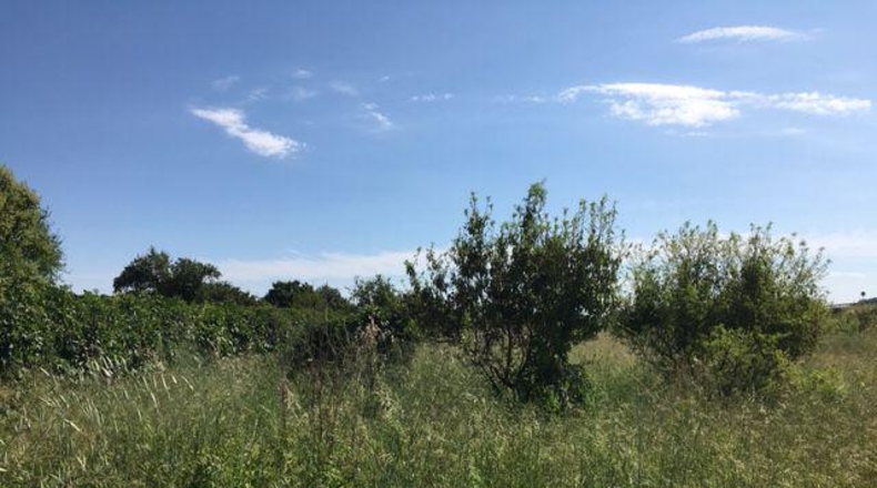 Castellón - Castelló de la Plana - 10000m2