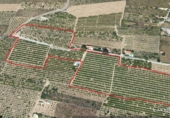 Finca rústica en venta en Castellón de la Plana ref: TR37209 foto