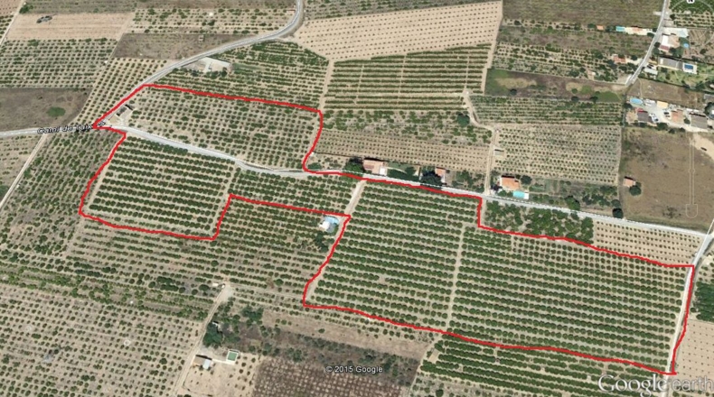Castellón - Castelló de la Plana - 40000m2