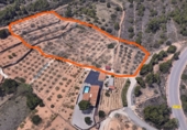 Terreno no urbanizable en venta en L'Alcora ref: TR38831 foto