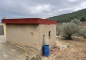 Terreno no urbanizable en venta en L'Alcora ref: TR38831 foto