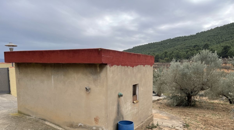 Castellón - Alcora - 10066m2