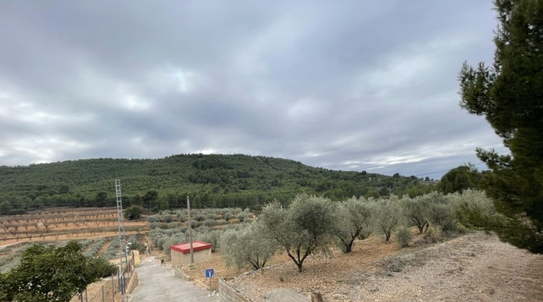 Castellón - Alcora - 10066m2