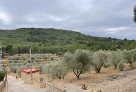 Foto 8