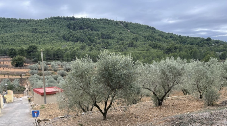 Castellón - Alcora - 10066m2