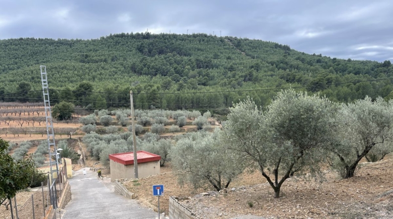 Castellón - Alcora - 10066m2