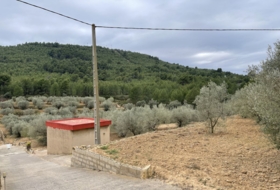 Foto 11