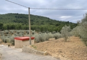 Terreno no urbanizable en venta en L'Alcora ref: TR38831 foto