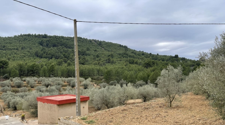 Castellón - Alcora - 10066m2