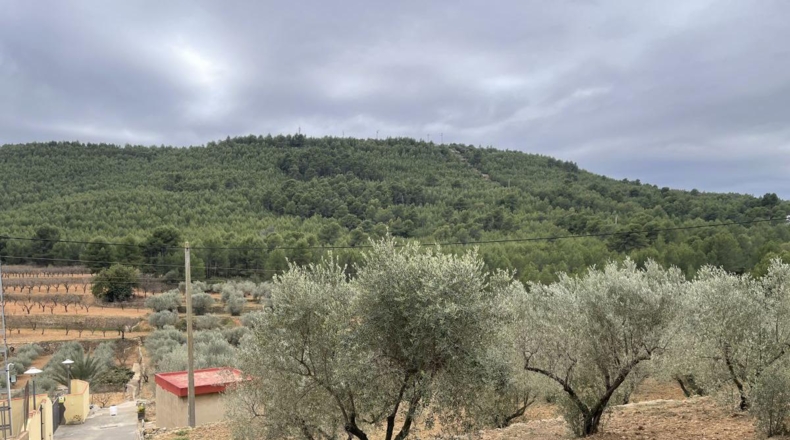 Castellón - Alcora - 10066m2