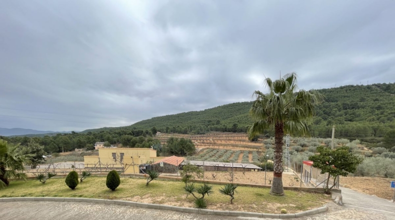 Castellón - Alcora - 10066m2