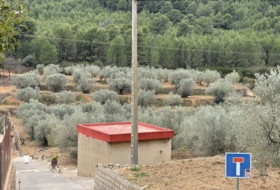 Foto 12