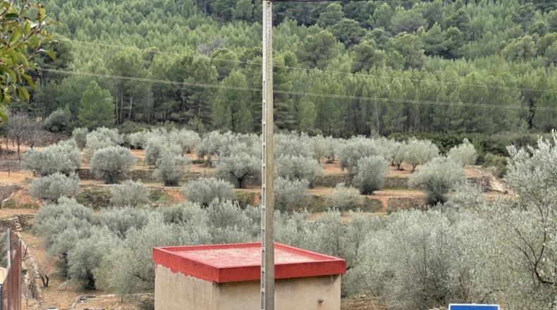 Castellón - Alcora - 10066m2