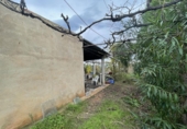 Finca rústica en venda a Castelló de la Plana ref.: TR62209 foto