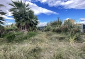 Finca rústica en venda a Castelló de la Plana ref.: TR62208 foto