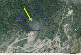 Foto 9