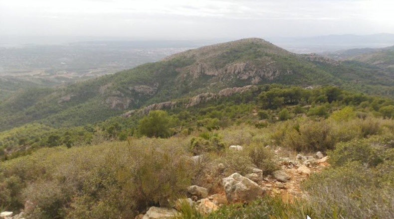 Castellón - Borriol - 20005m2