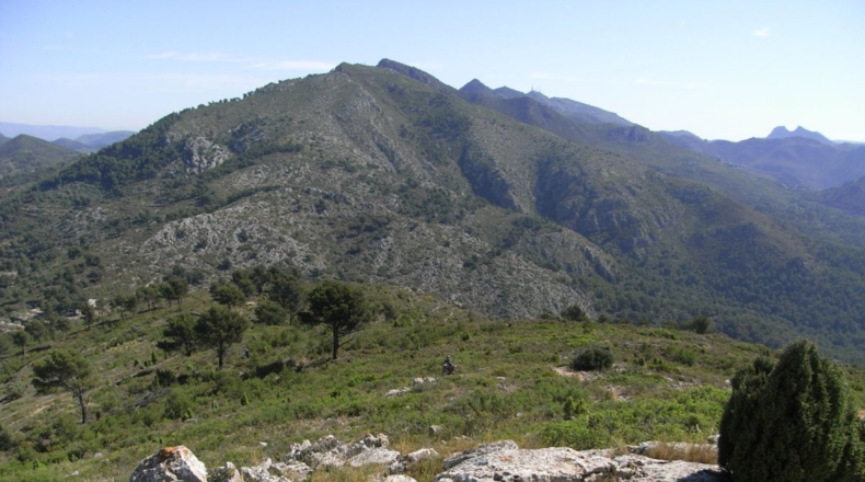 Castellón - Borriol - 20005m2