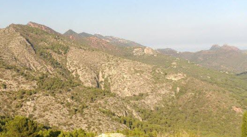 Castellón - Borriol - 20005m2