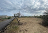 Finca rústica en venda a Castelló de la Plana ref.: TR344978 foto