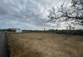 Finca rústica en venda a Castelló de la Plana ref.: TR344978 foto