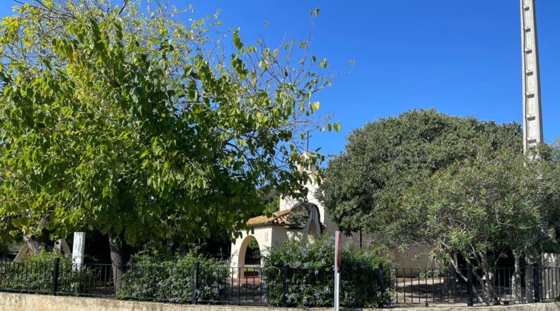 Castellon - Castellón de la Plana - 1871m2
