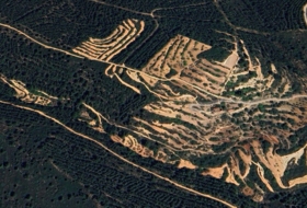 Vilanova d'Alcolea 70000&nbsp;m² 
