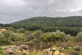 Vilanova d'Alcolea 70000&nbsp;m² 