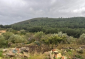 Finca rústica en venda a la España, Vilanova d'Alcolea, ref.: TR383396 foto