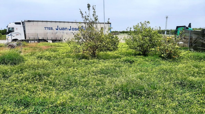 Valencia - Bellreguart - 348m2