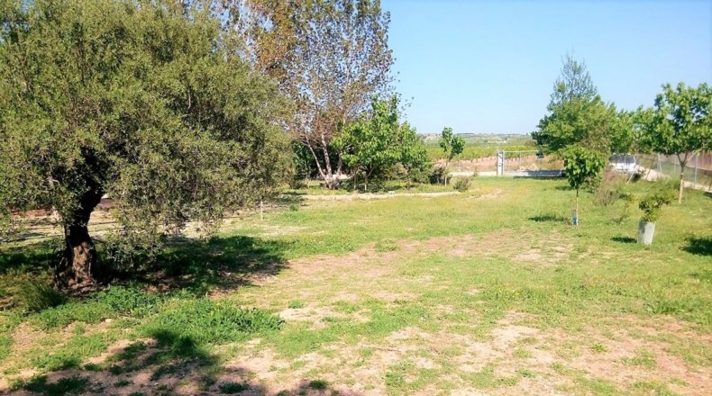 Valencia - Puebla del Duc - 10800m2