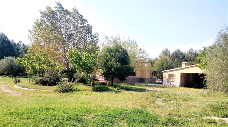 Valencia - Puebla del Duc - 10800m2