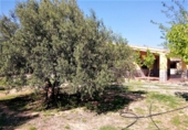 Detached villa with land for sale in La Pobla del Duc ref: TR16732 photo