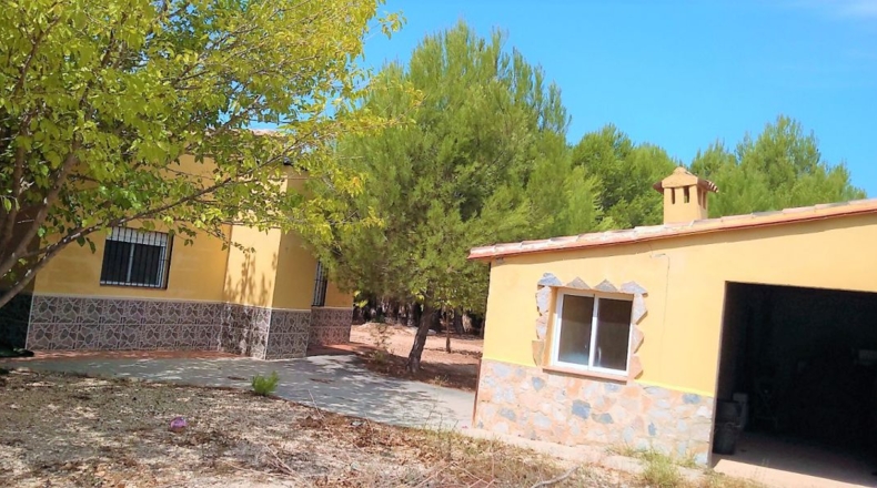 Valencia - Puebla del Duc - 10800m2