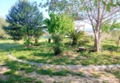 Detached villa with land for sale in La Pobla del Duc ref: TR16732 photo