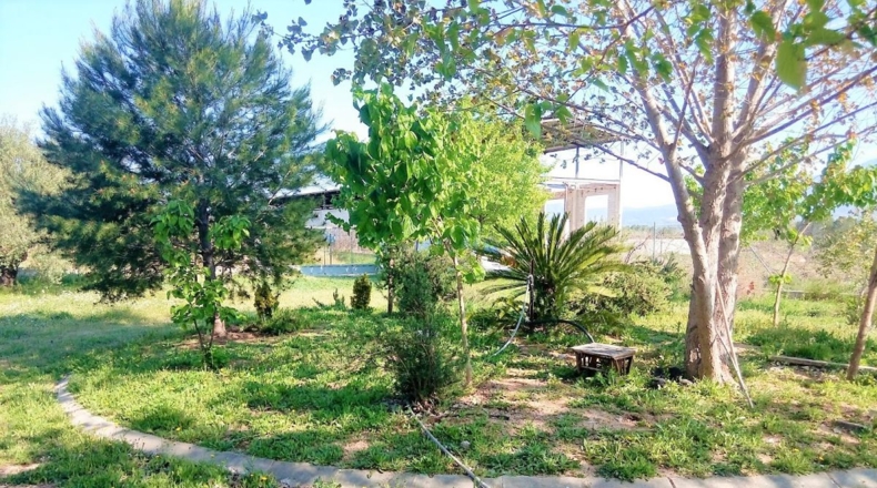 Valencia - Puebla del Duc - 10800m2