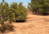 Detached villa with land for sale in La Pobla del Duc ref: TR16732 photo