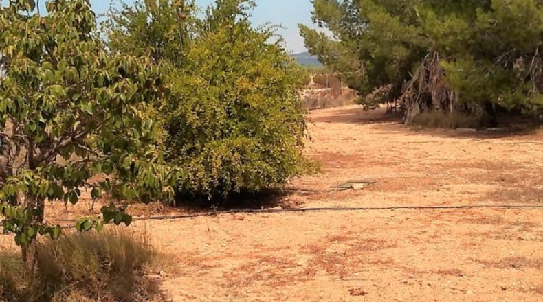 Valencia - Puebla del Duc - 10800m2