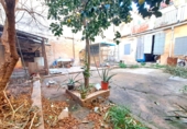 Village house for sale in Gandia ref: TR199147 photo