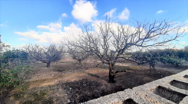 Valencia - Miramar - 1508m2