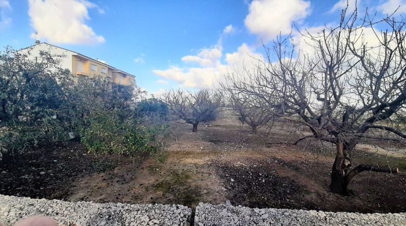 Valencia - Miramar - 1508m2