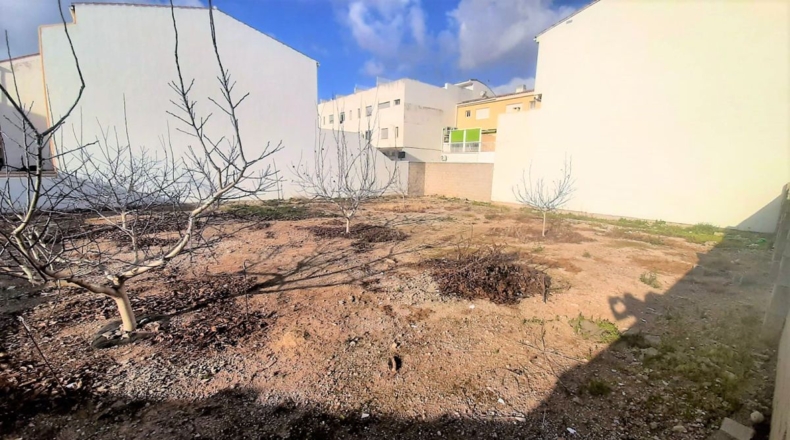Valencia - Miramar - 548m2