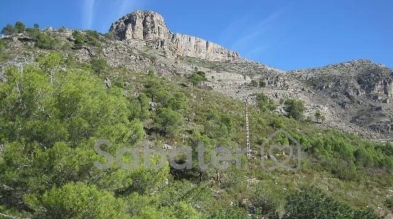 Valencia - Bárig - 4500m2