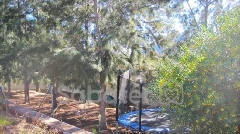 Valencia - Bárig - 4500m2