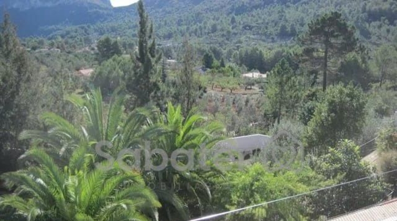 Valencia - Bárig - 4500m2