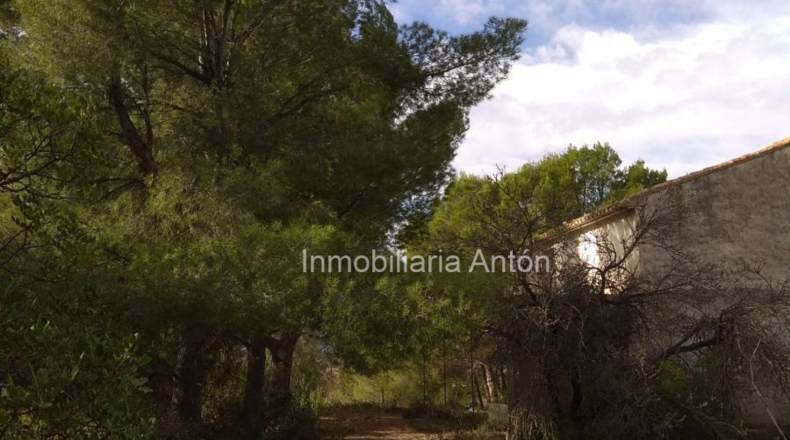 Alicante - Callosa de Ensarriá - 10900m2