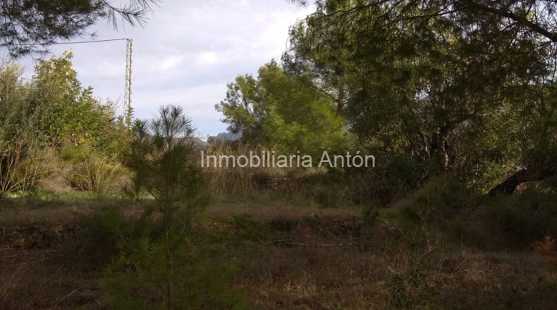 Alicante - Callosa de Ensarriá - 10900m2